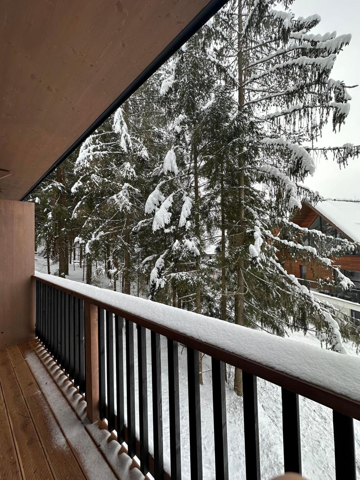 Apartman Pod Smrekom Demaenovska Dolina Extérieur photo